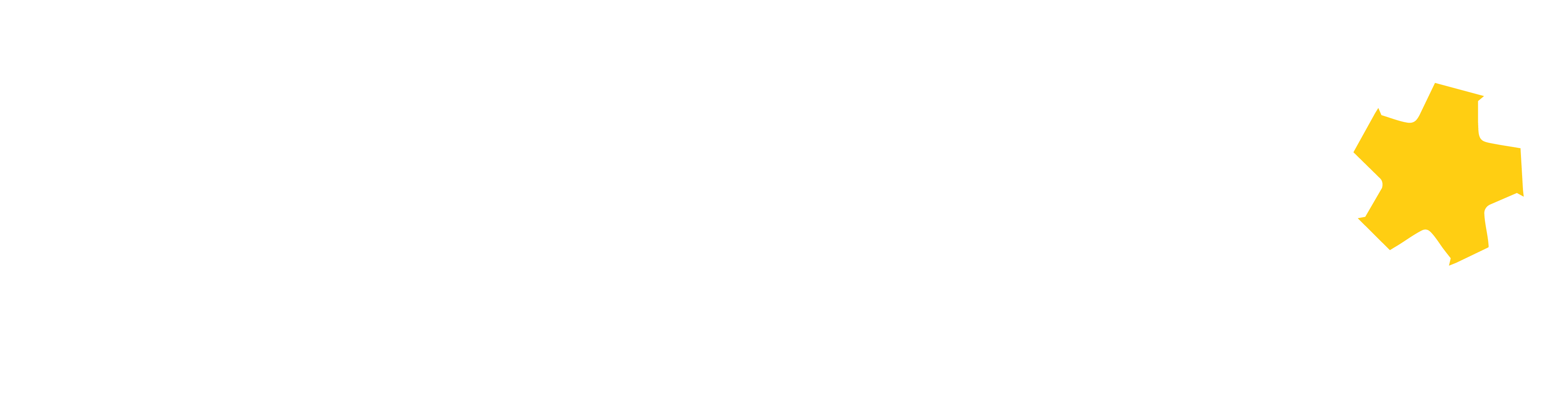Arabic Wordmark (Primary)